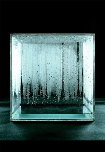 Hans Haacke Condensation Cube 1963-65